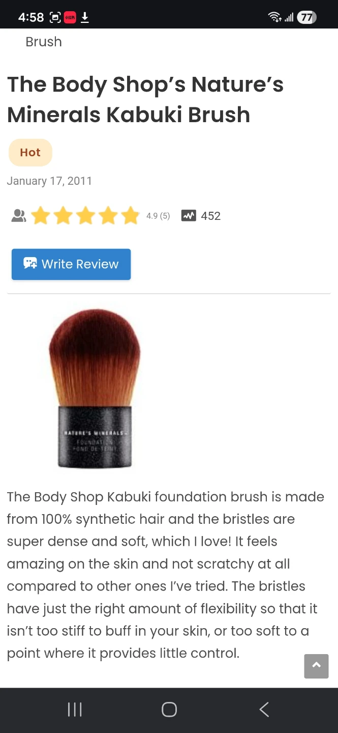 The Body Shop Nature's Minerals Foundation Brush