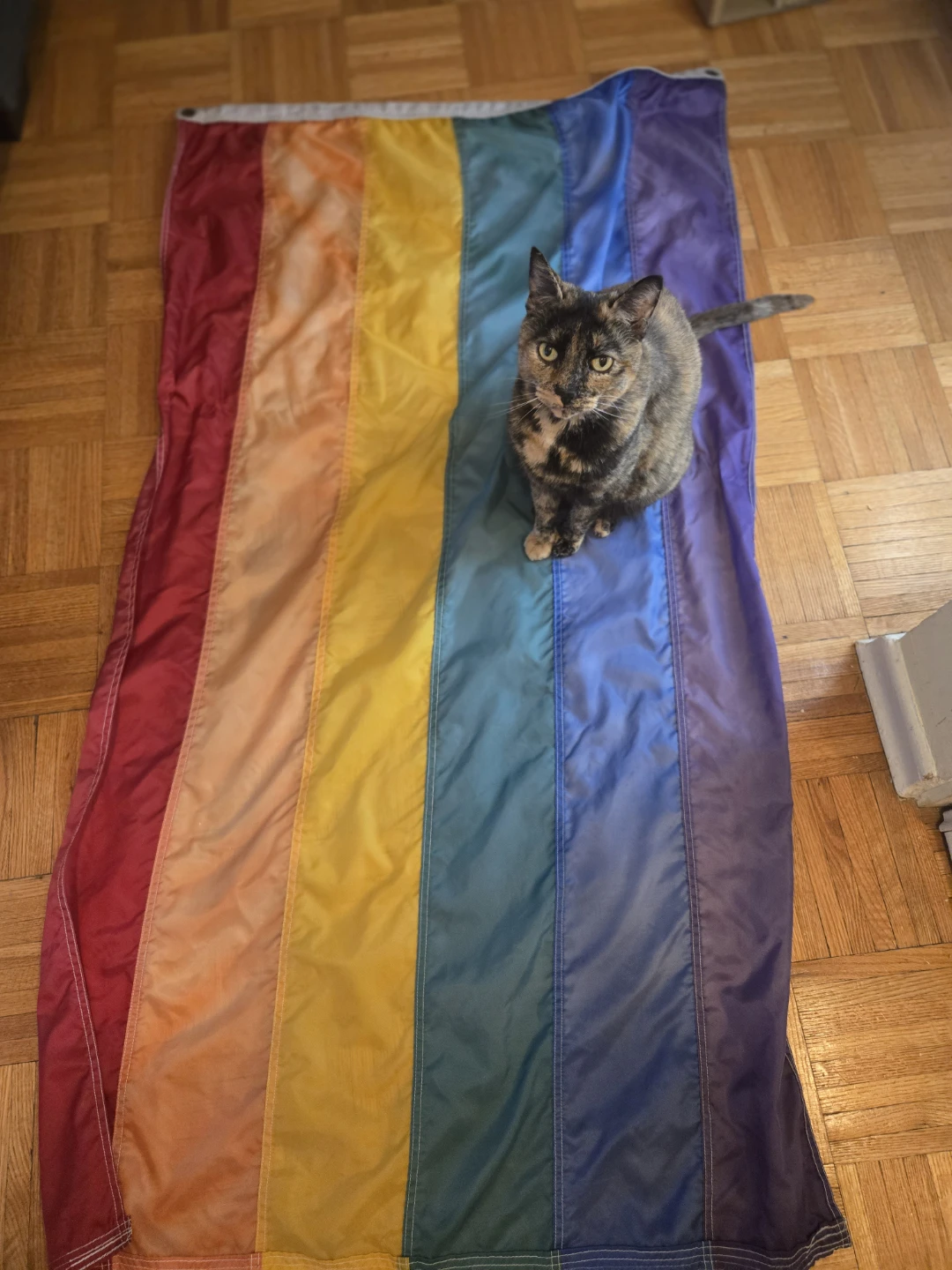 Pride flag (used) 3x5 feet, nylon