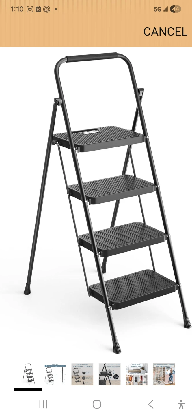 Black 4-Step Folding Ladder