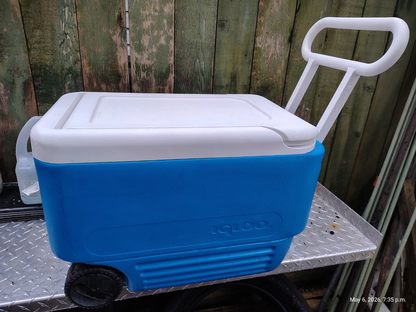 IGLOO 38qt Wheeled Cooler 🥕