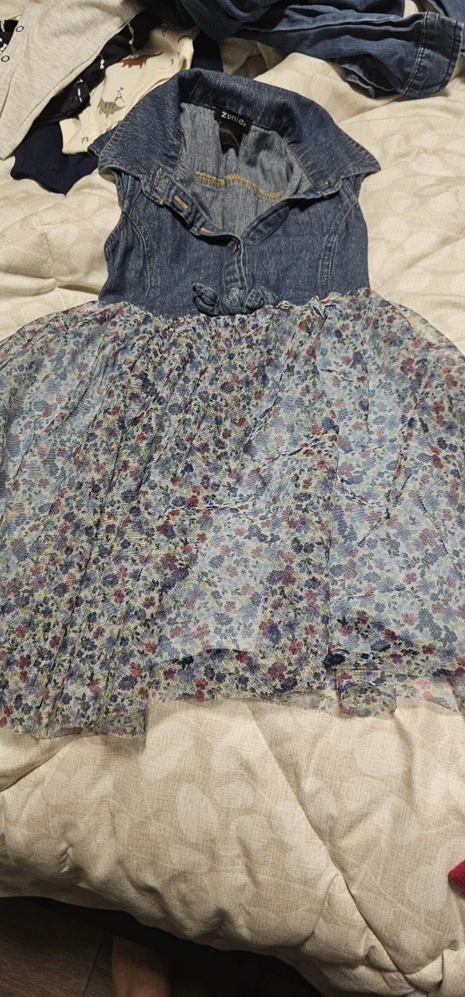 Zunie Denim and Floral Dress