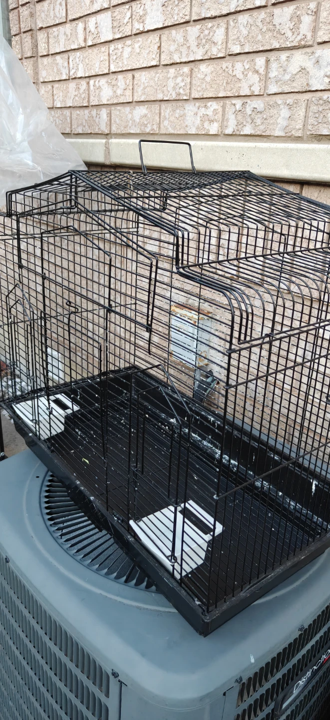 Black Bird Cage