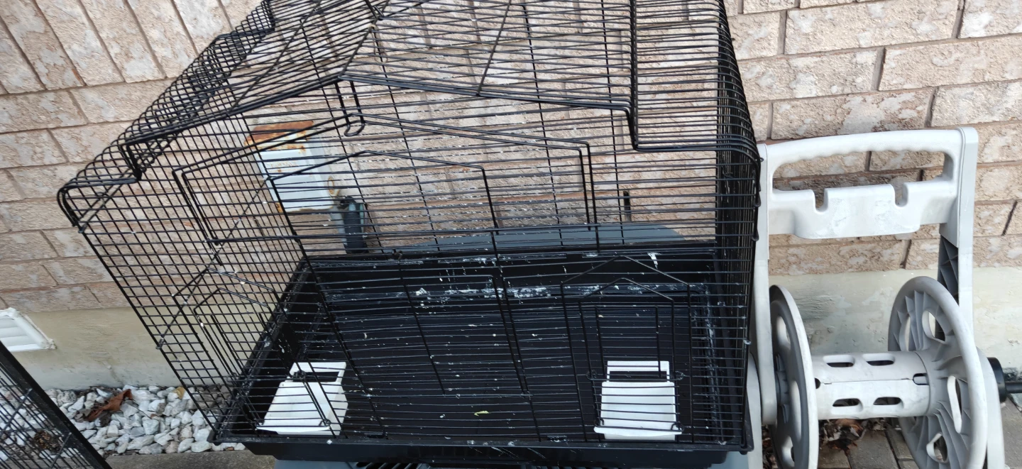 Black Bird Cage - photo 2