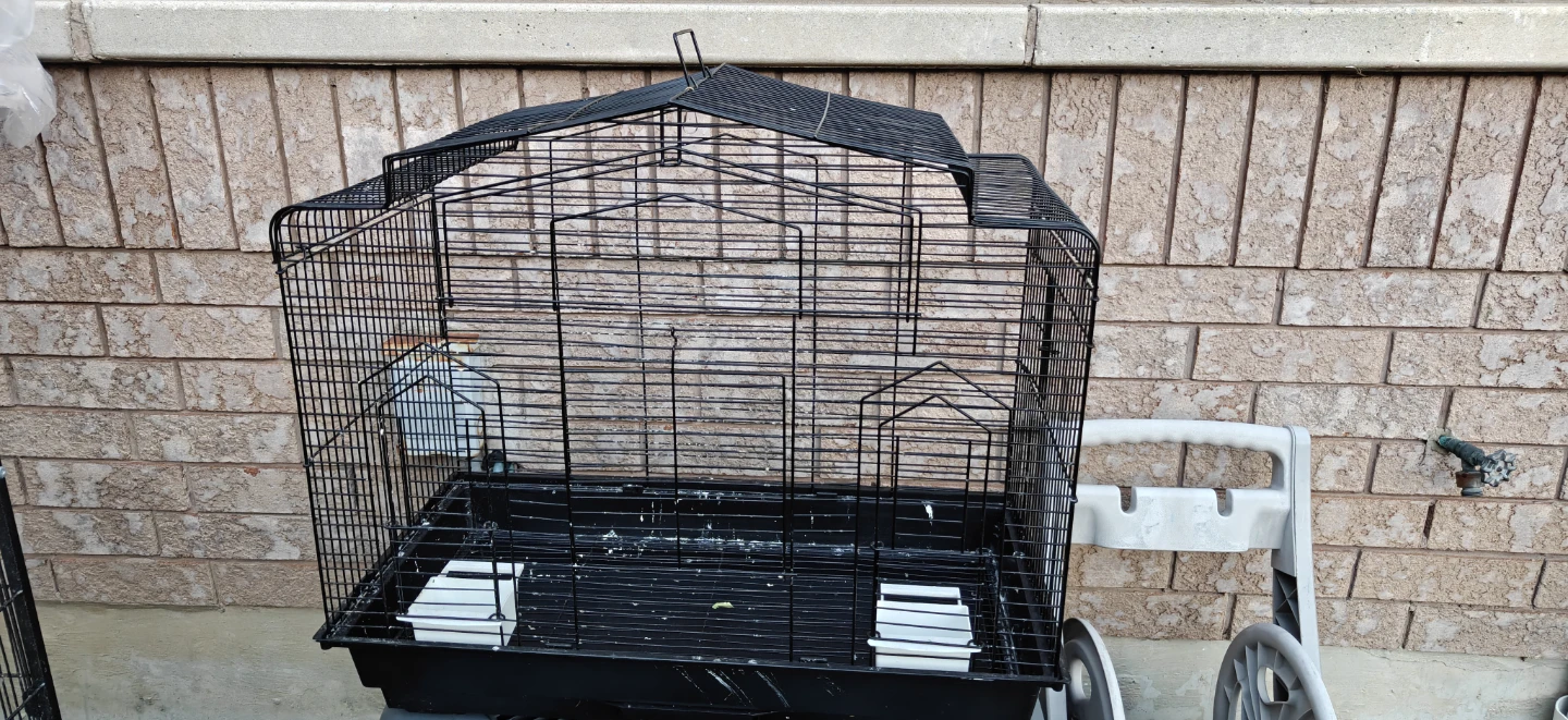 Black Bird Cage - photo 3