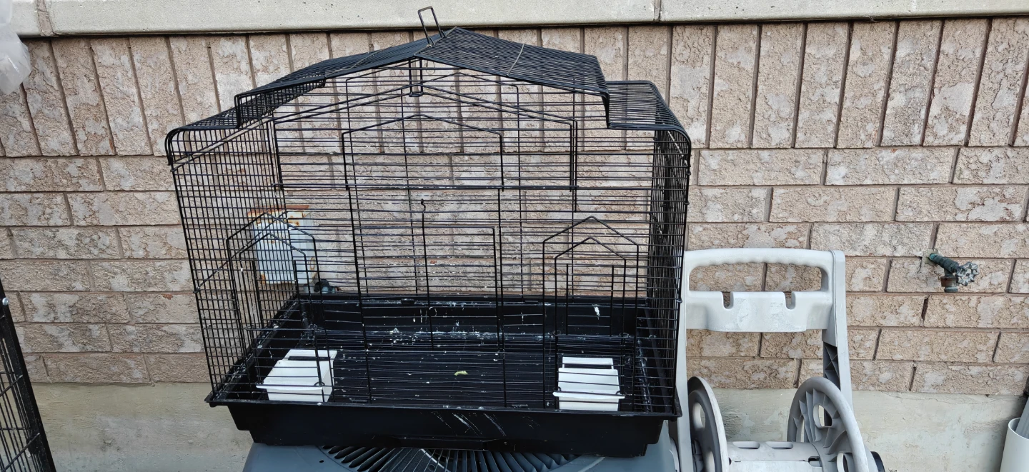 Black Bird Cage - photo 4