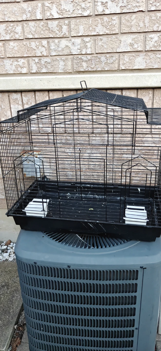 Black Bird Cage - photo 5