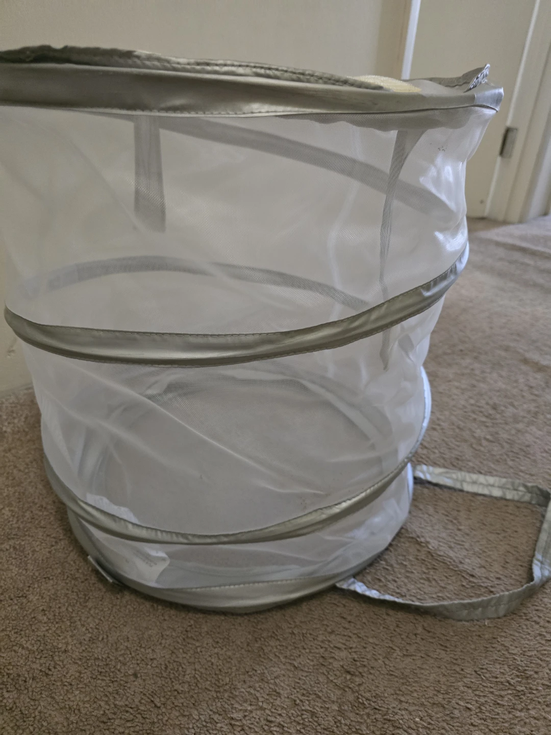 Pop-up Mesh Butterfly Habitat