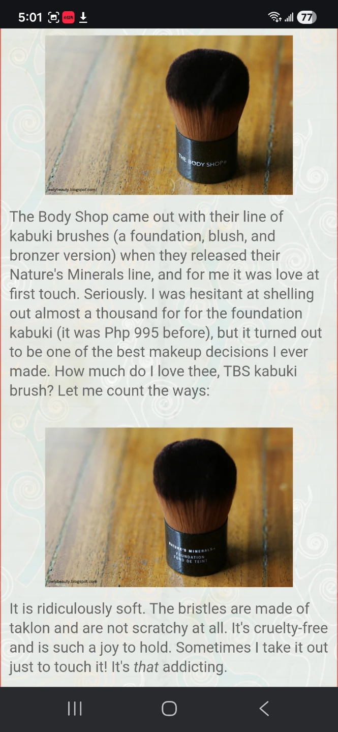 The Body Shop Nature's Minerals Foundation Brush - photo 4