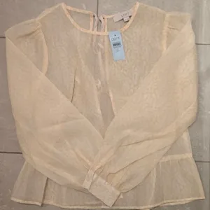 LOFT Sheer Puff Sleeve Blouse
