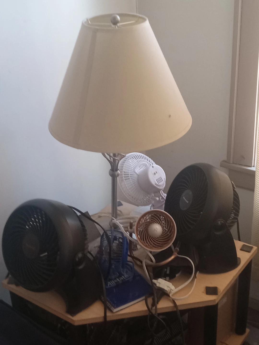 Fans for sale  various prices.  Lamps for sale.  Not free.