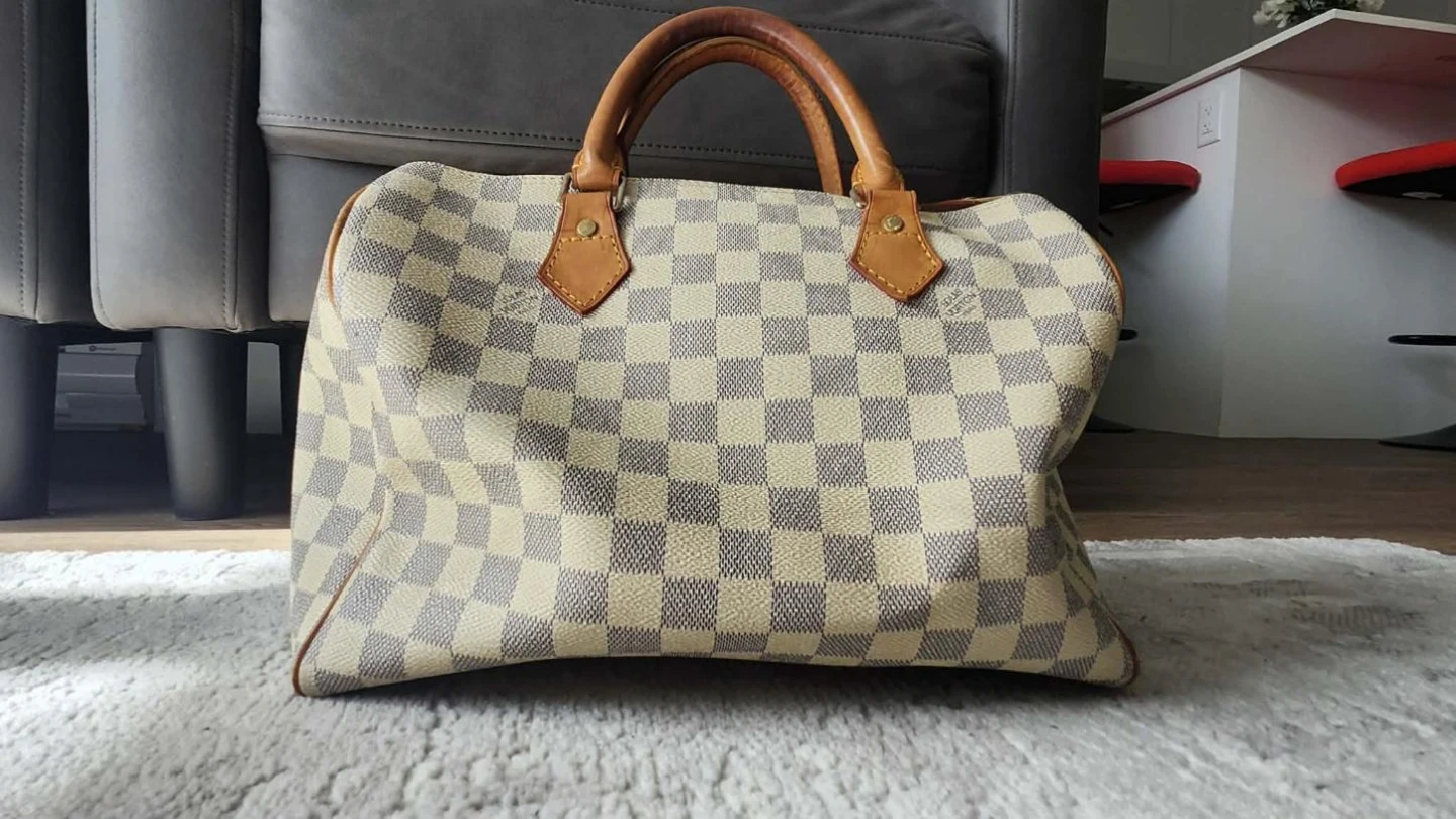 Louis Vuitton Speedy Bag