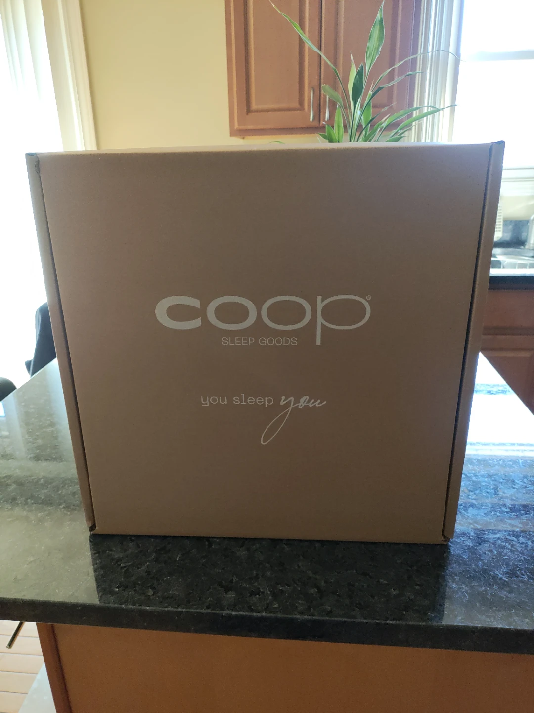 Coop Sleep Goods The EthoSource Queen Adjustable Pillow