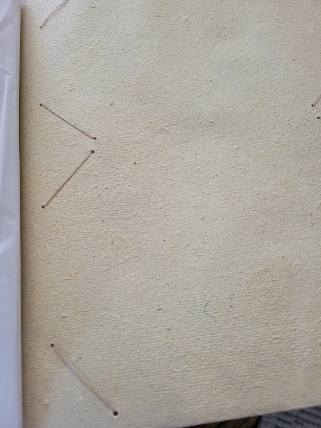 Palm Tree Photo Album unused - photo 2