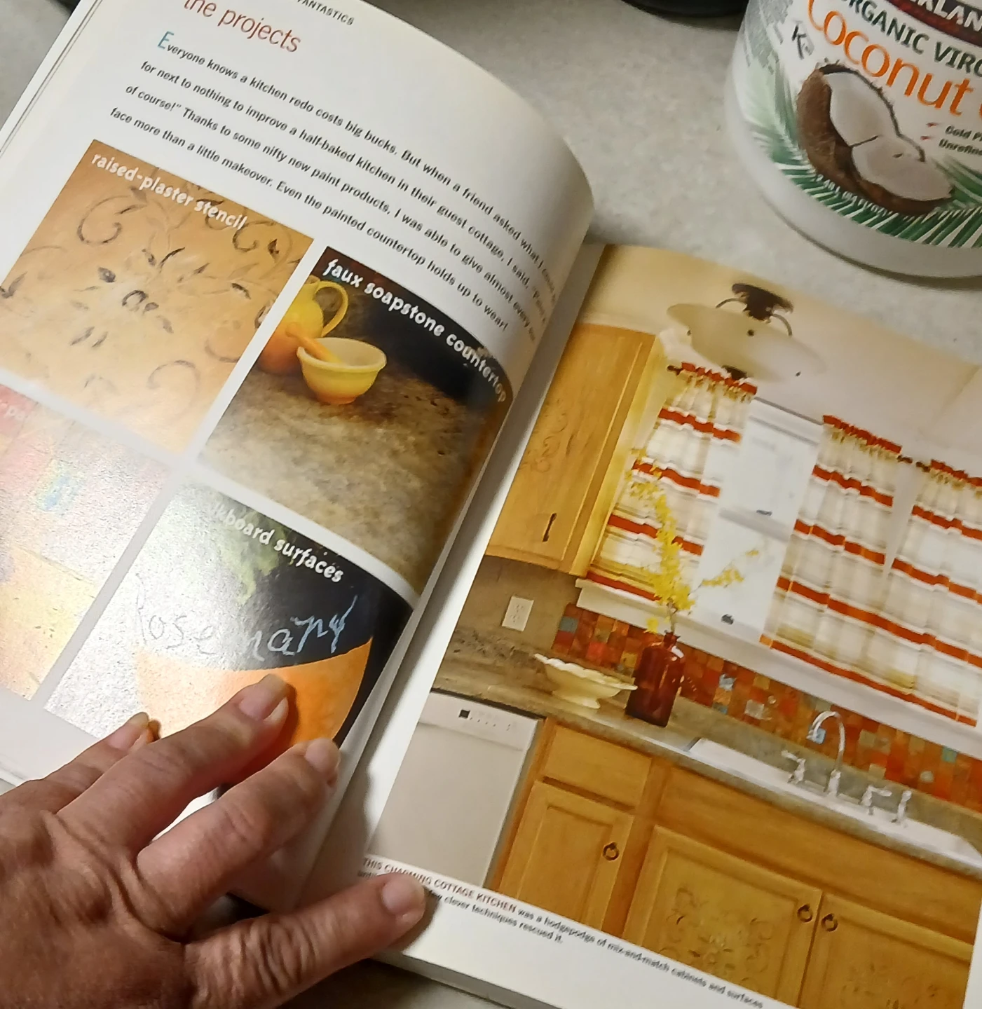 Paint Saves the Day Book