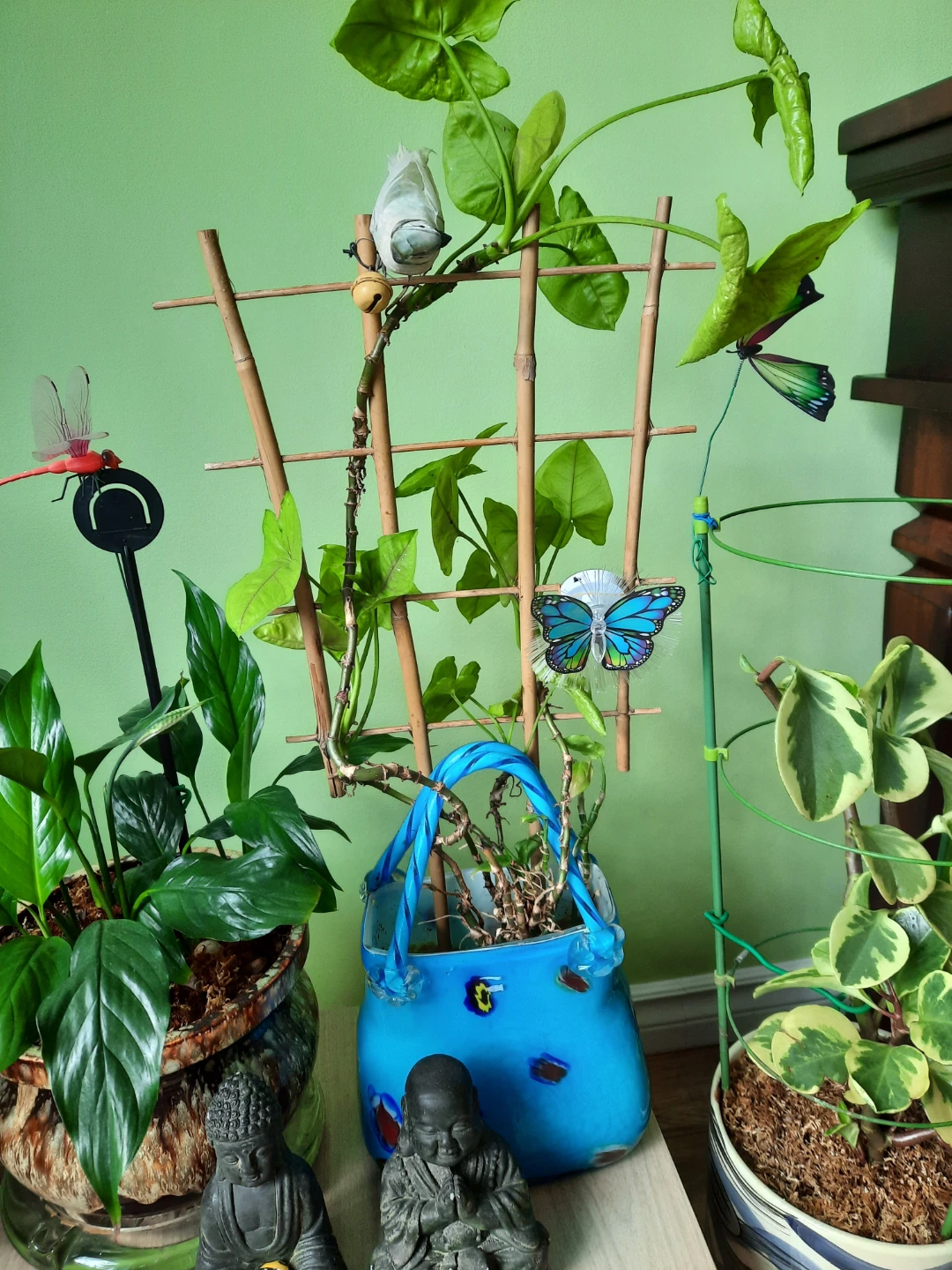Assorted indoor plants with decorative pots $ 19 each - photo 2