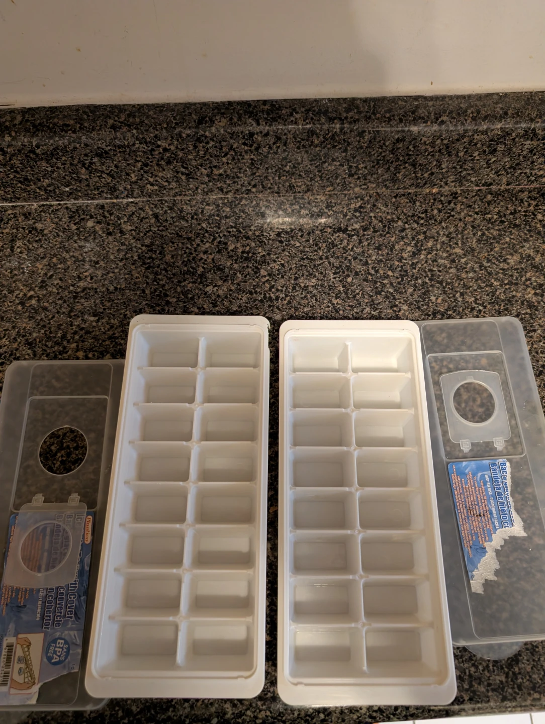 Ice Cube Trays with Lids