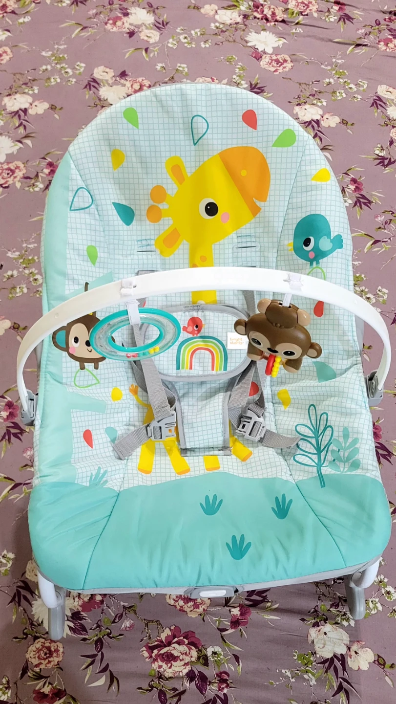 Bright Starts Baby Bouncer Seat