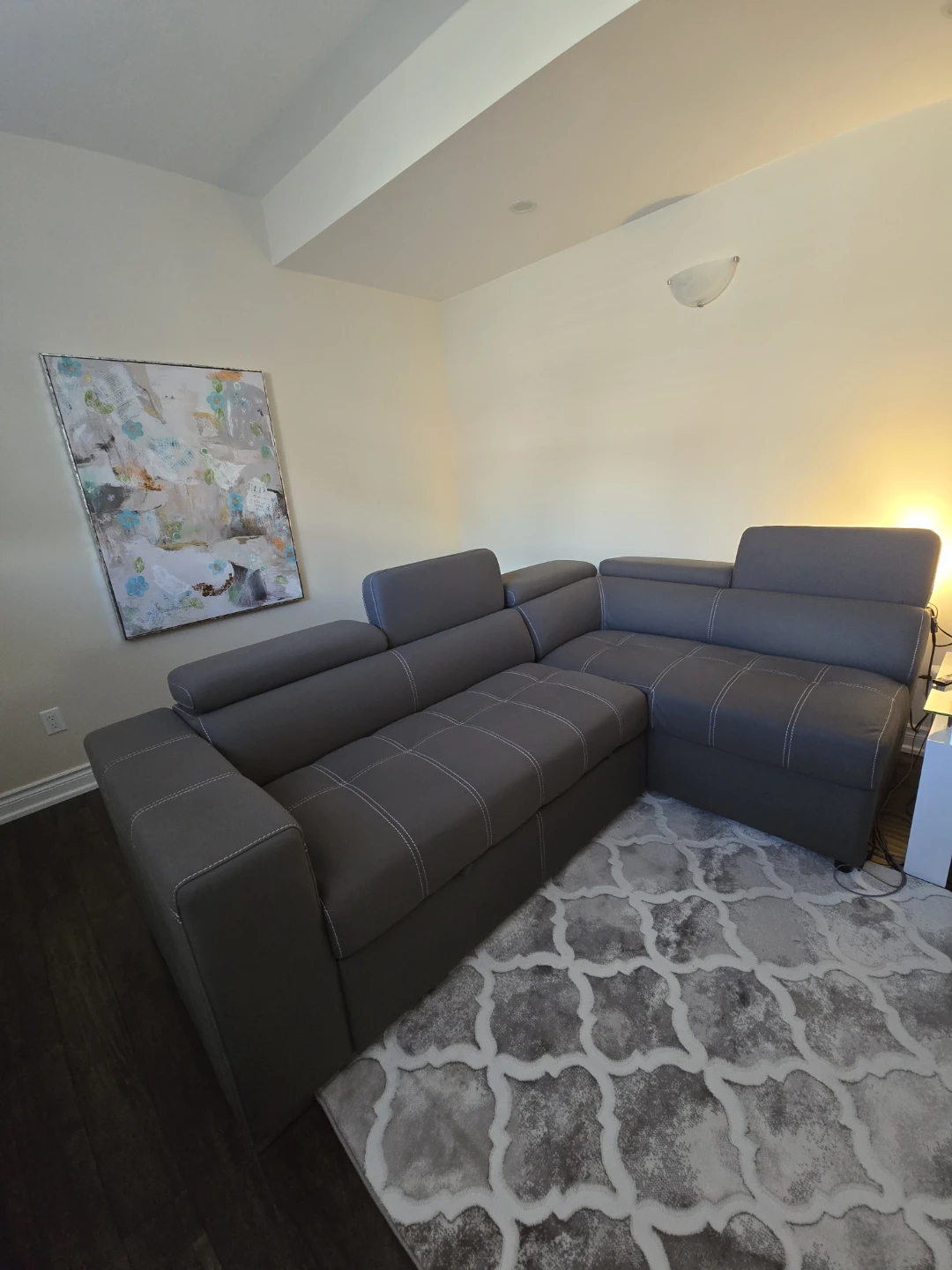 Sleeper Sectional with Storage Ottoman - Cement Grey. LIKE NEW