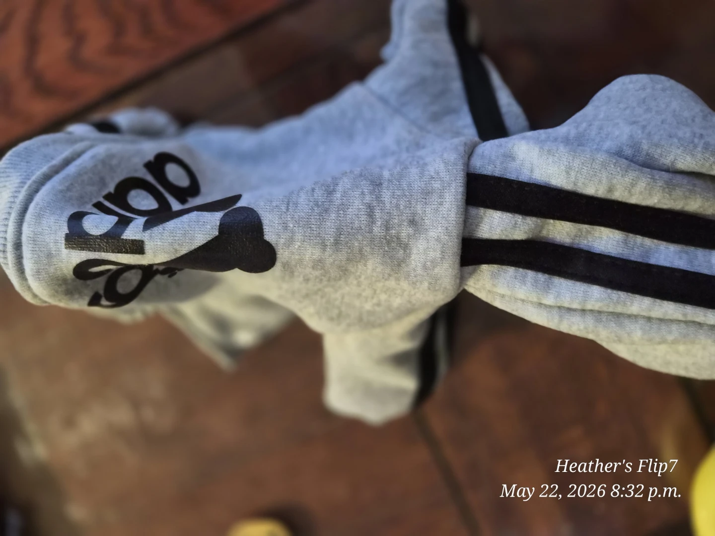 Adidog Grey Hoodie for Small Dogs - photo 3