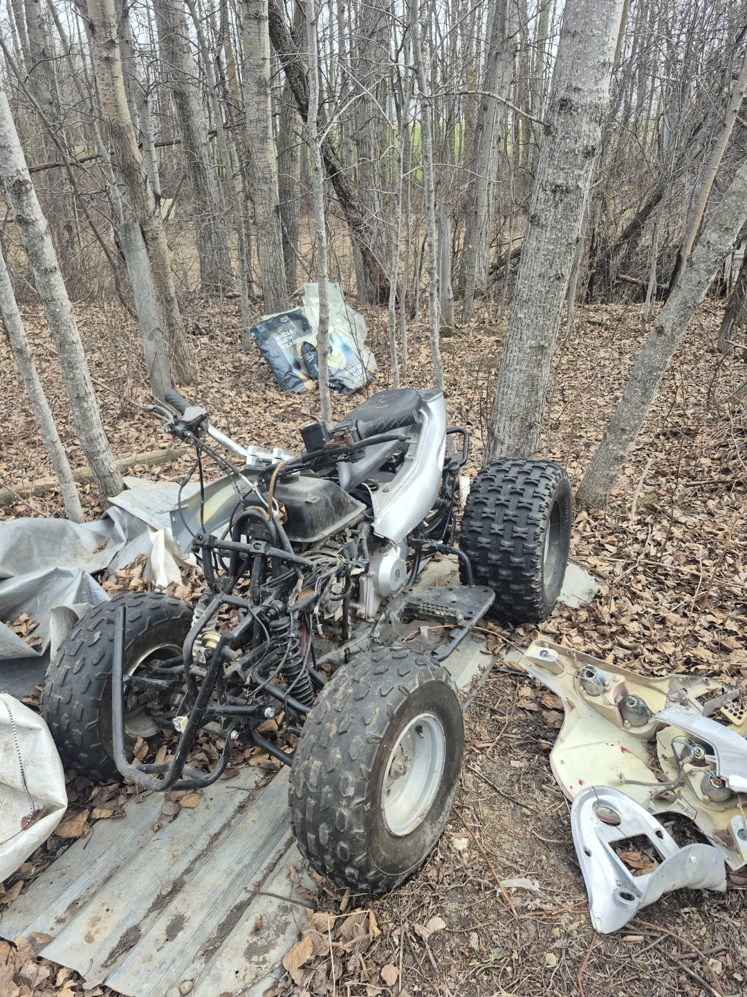 Silver Chinese quad 110cc - photo 2