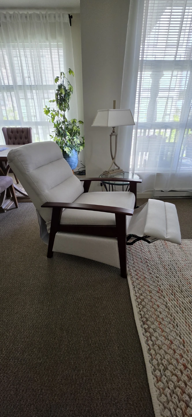 Reclining Accent Chair - photo 4