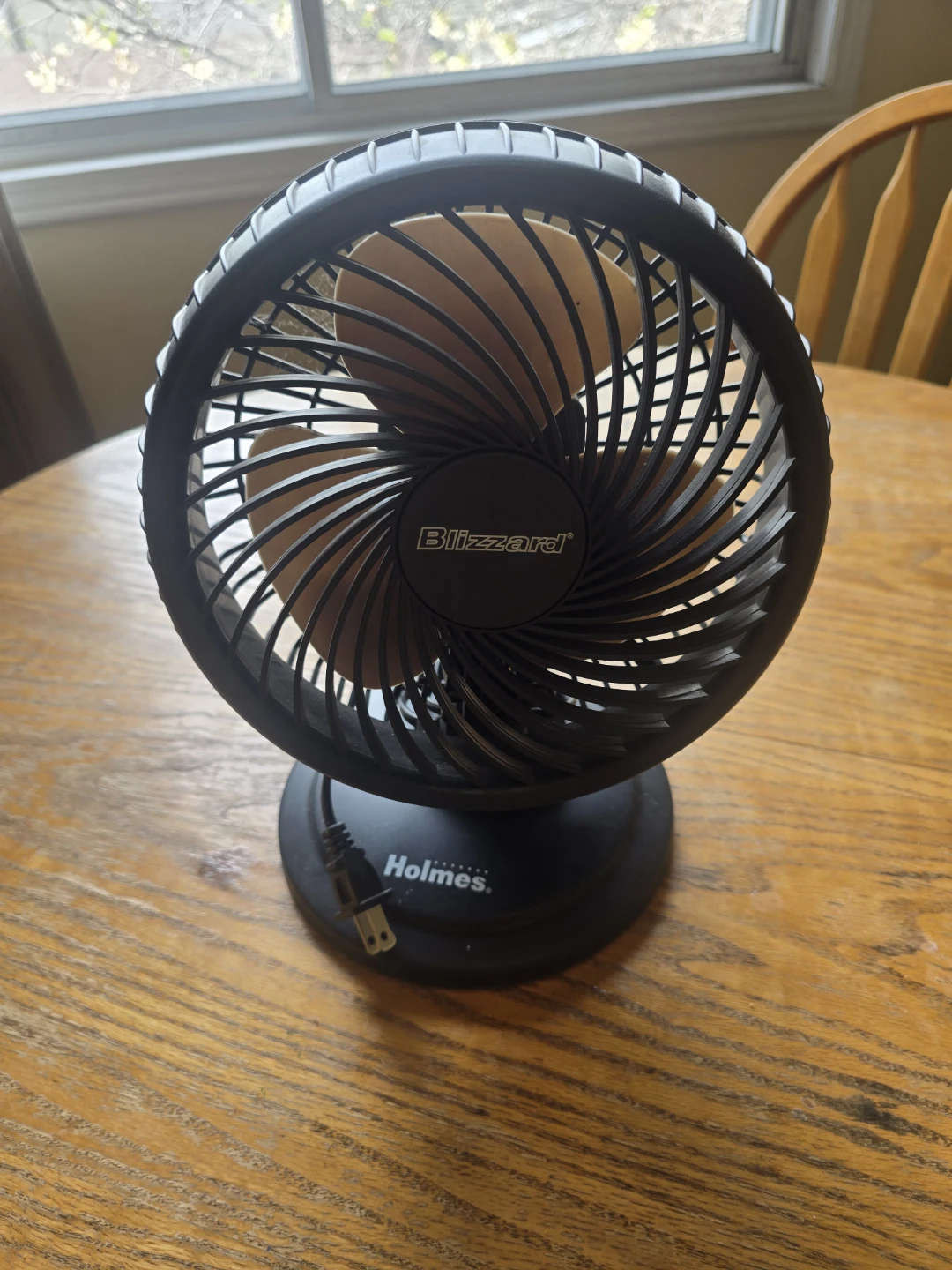 Holmes Blizzard Personal Fan