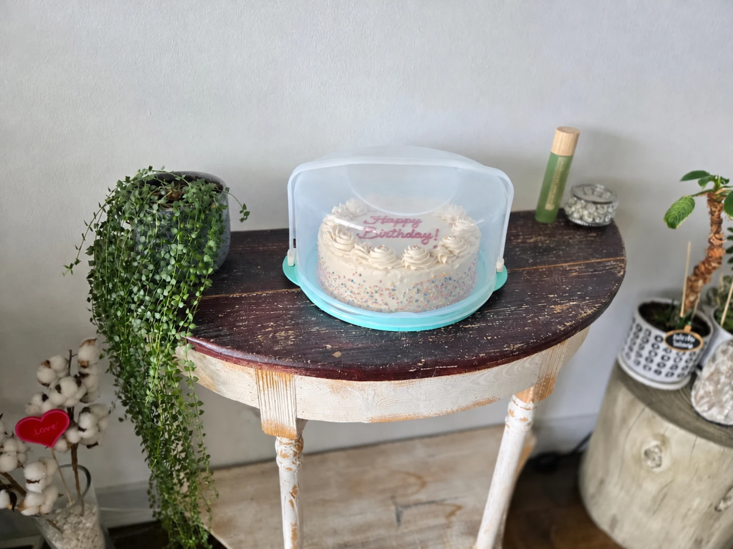 Tupperware Cake Carrier