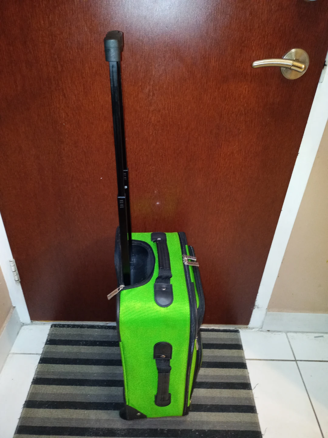 Small Luggage - photo 5