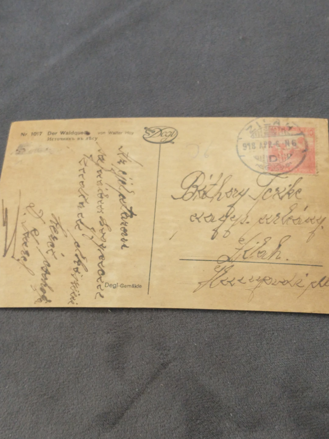 Nice 1918 postcard of forest, mailed within Hungary