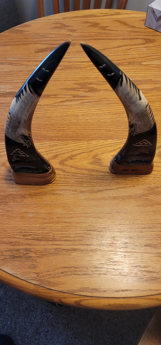 Decorative Horns with Banff Canada Carving - photo 2