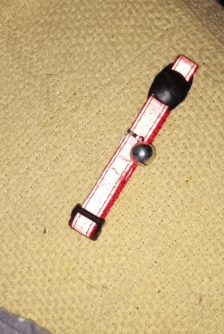 Reflective Cat Collar with Bell