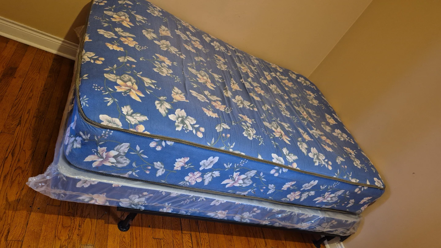 Cama