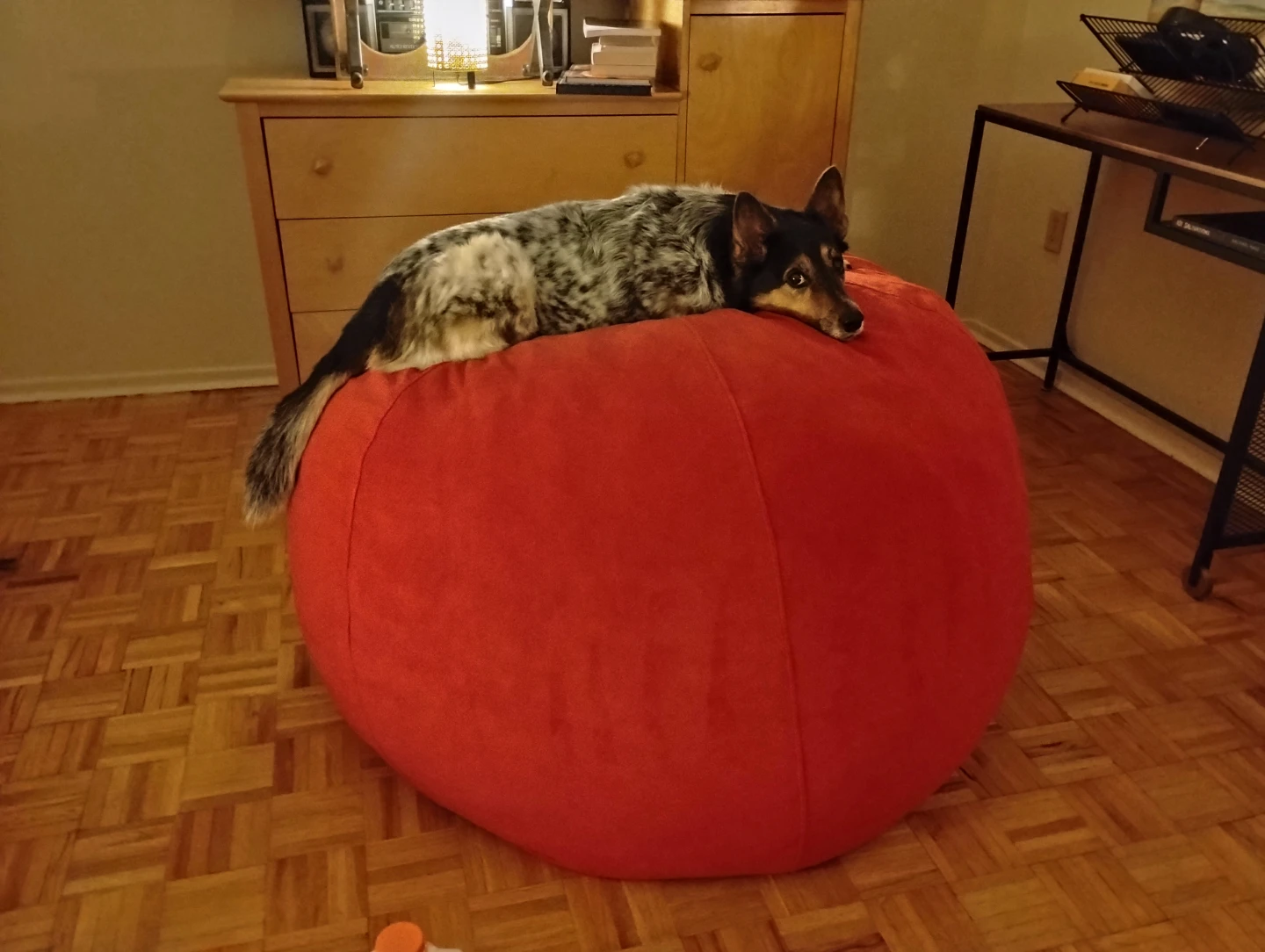 Brand New 5-Foot Giant Bean Bag Chair - Red ($400 on Amazon) - photo 4