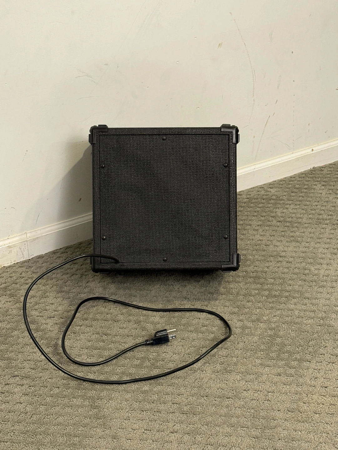Dinosaur DB-20 Bass Amplifier - photo 2