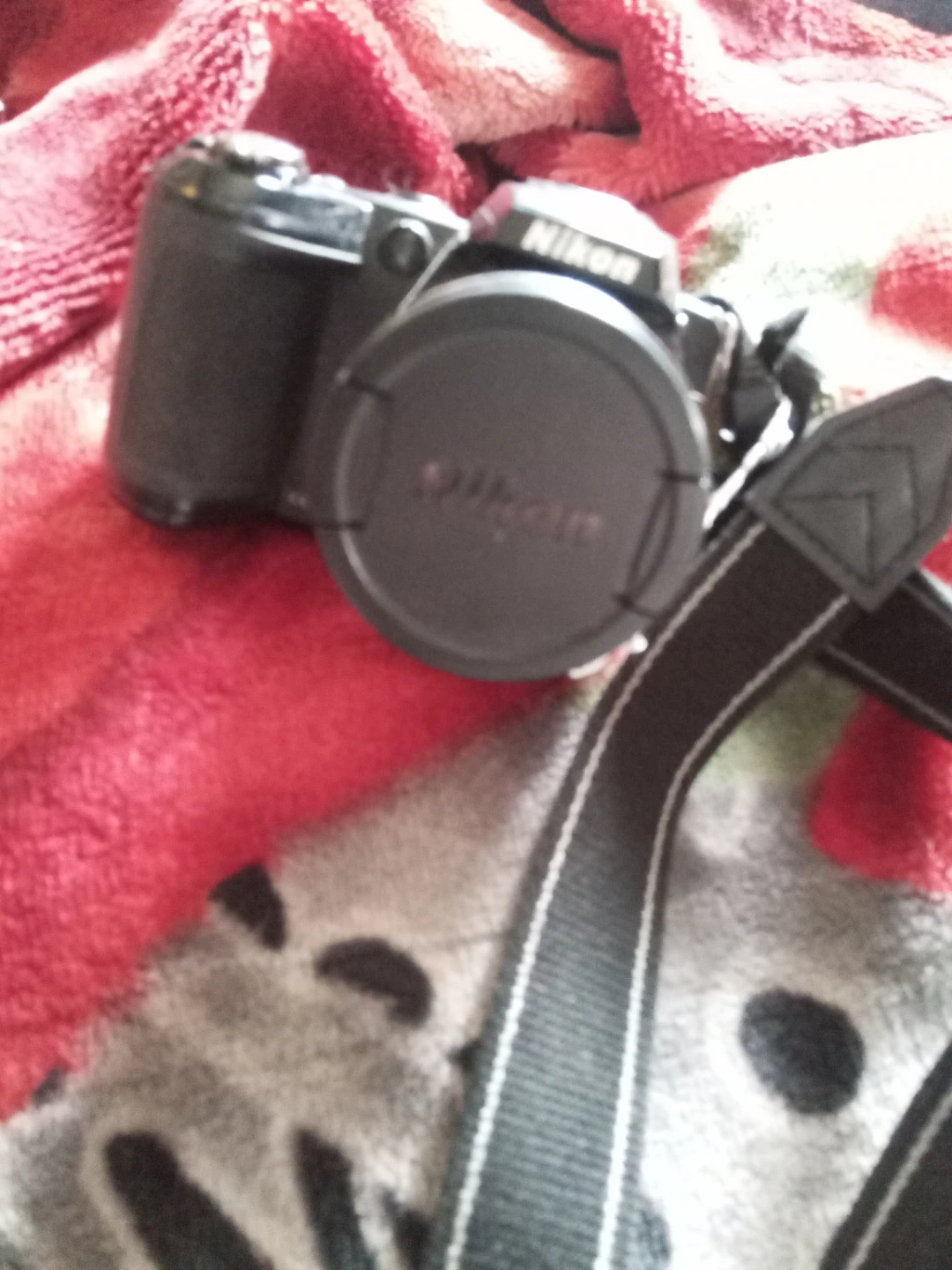 Nikon COOLPIX L310 Digital Camera - photo 2