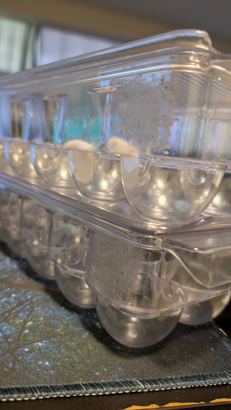 Clear Plastic Egg Carton