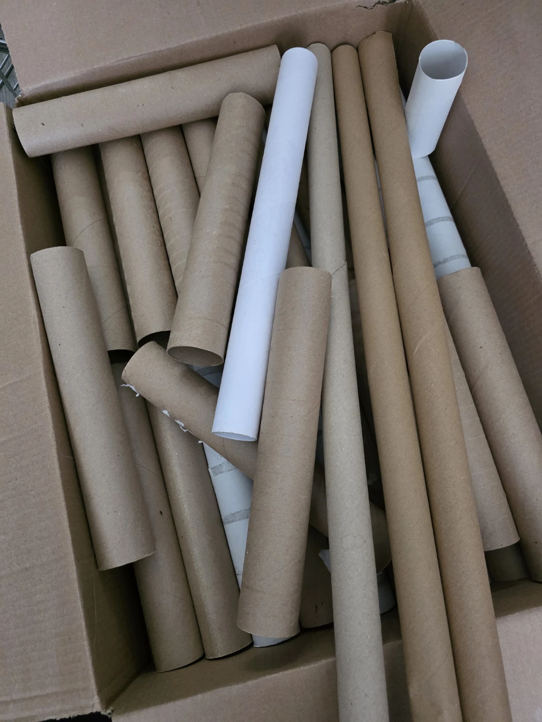Any Crafters (Paper Towel & Toilet Paper Rolls)