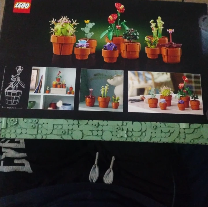 LEGO Botanicals Tiny Plants Building Set 10329 - photo 2
