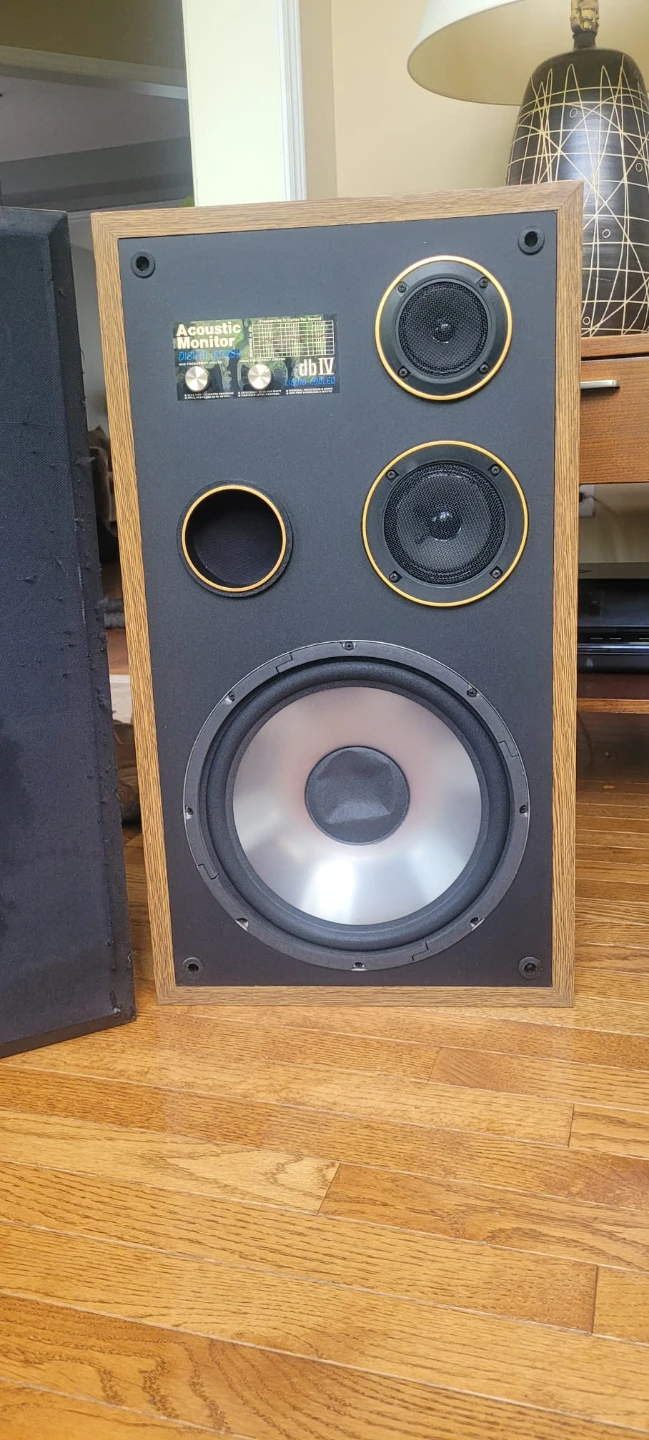 Acoustic Monitor db IV "Digital Ready" Speakers - photo 2