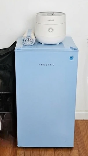 FreStic Mini Fridge