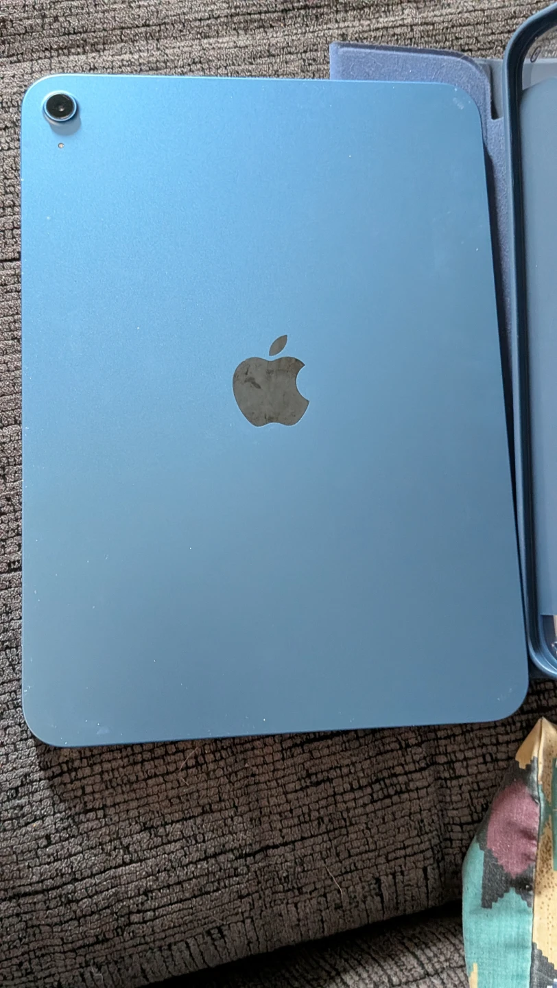 Apple iPad Mini  Blue