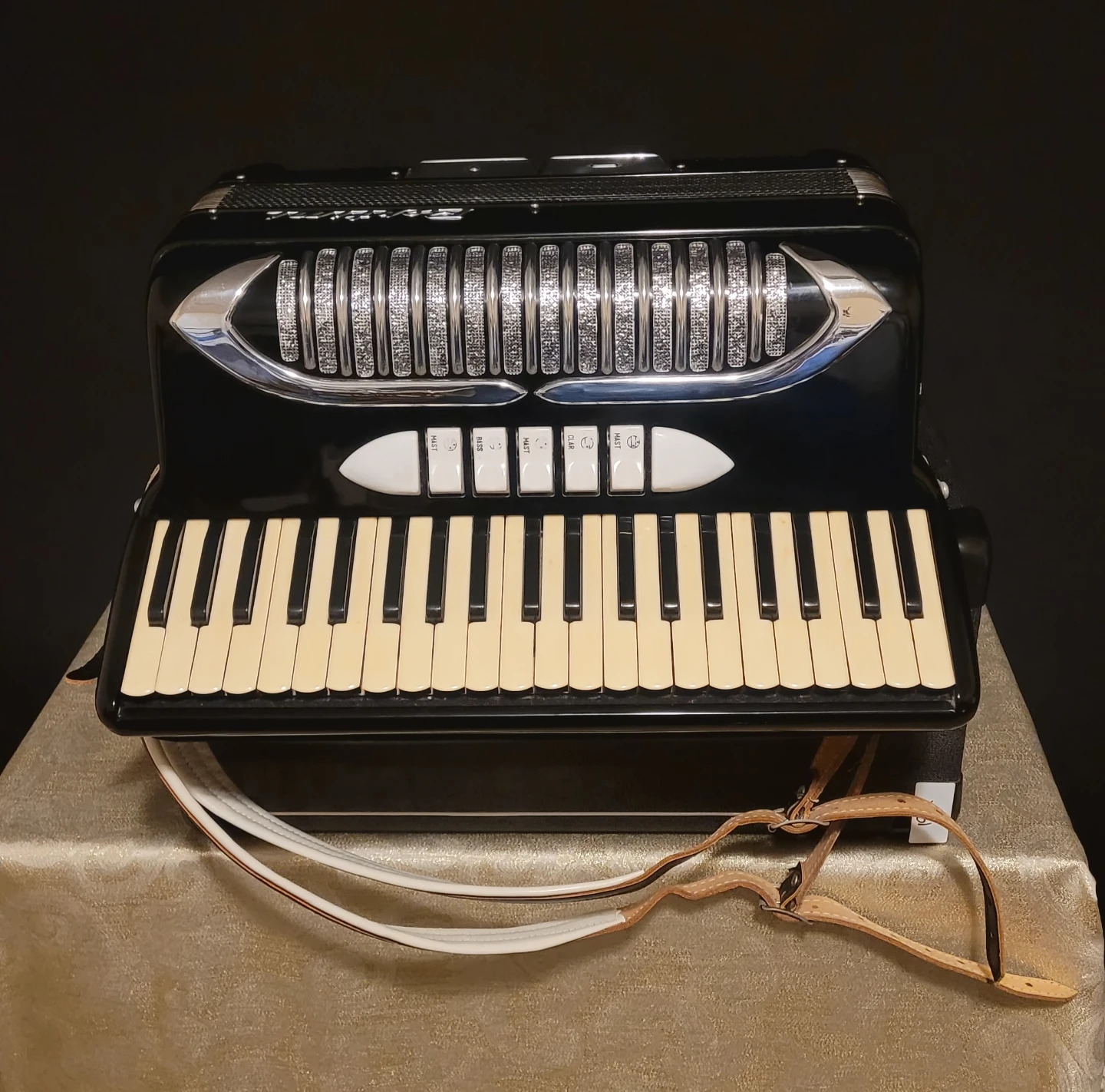 Bertini Accordian w/ Case - photo 3