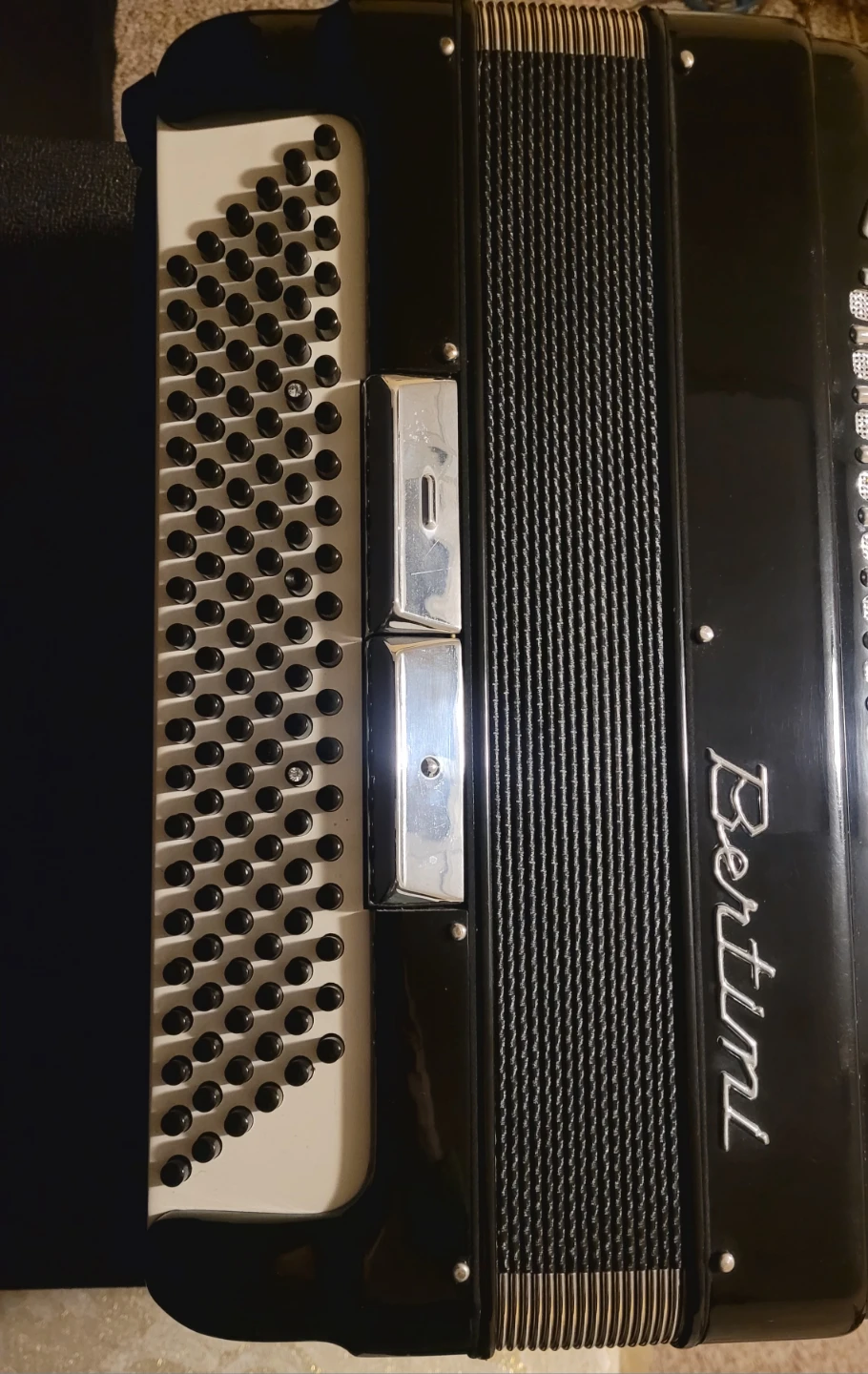 Bertini Accordian w/ Case - photo 5