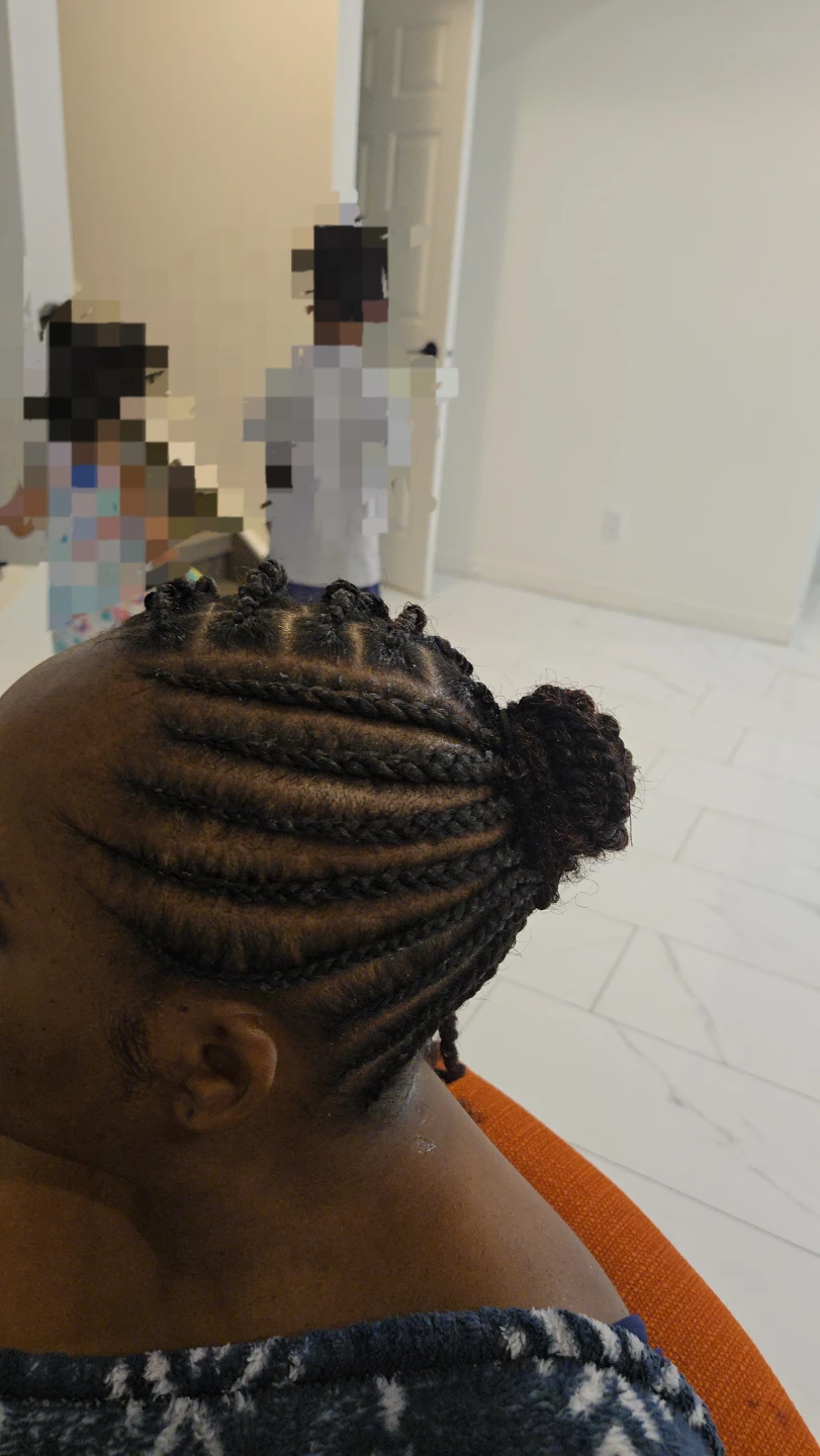 Braided Twists Hair Style