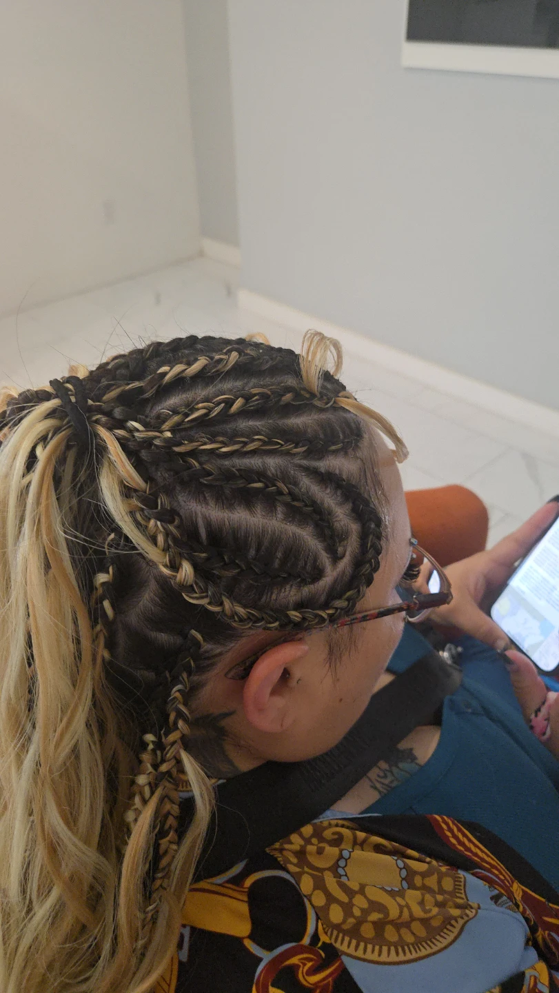 Braided Hairstyles with Blonde and Black Extensions