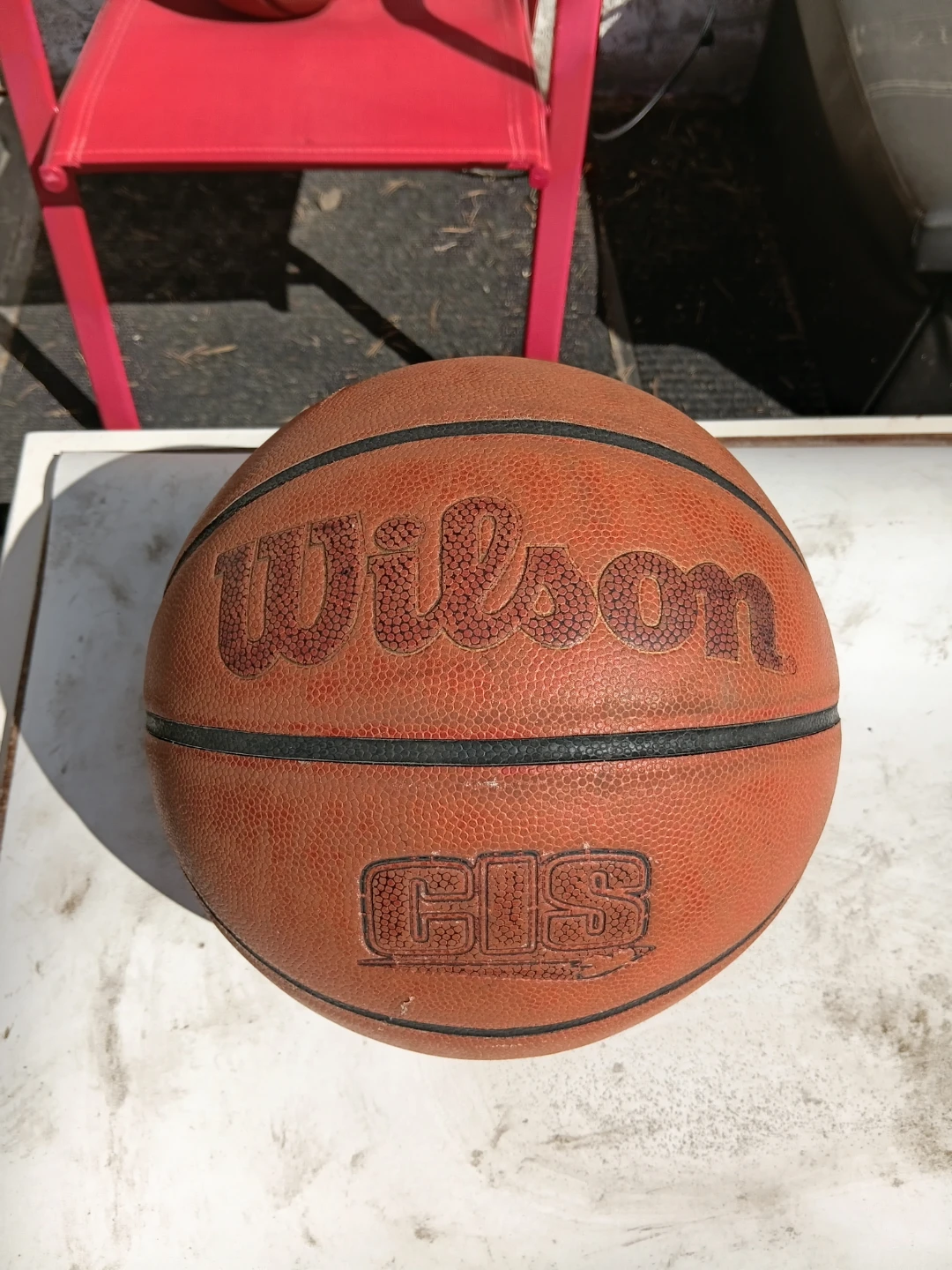 Wilson "CIS" Basketball
