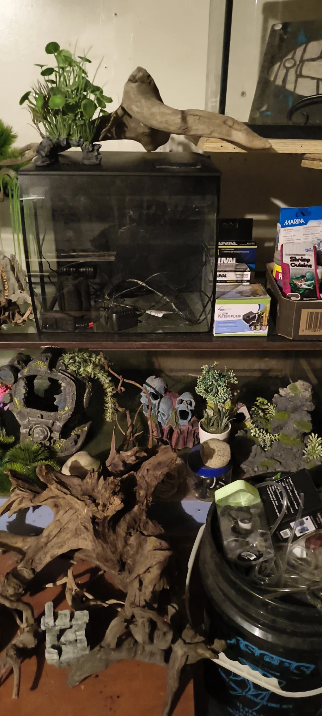 Read add- Lots of fish tank stuff available - photo 2