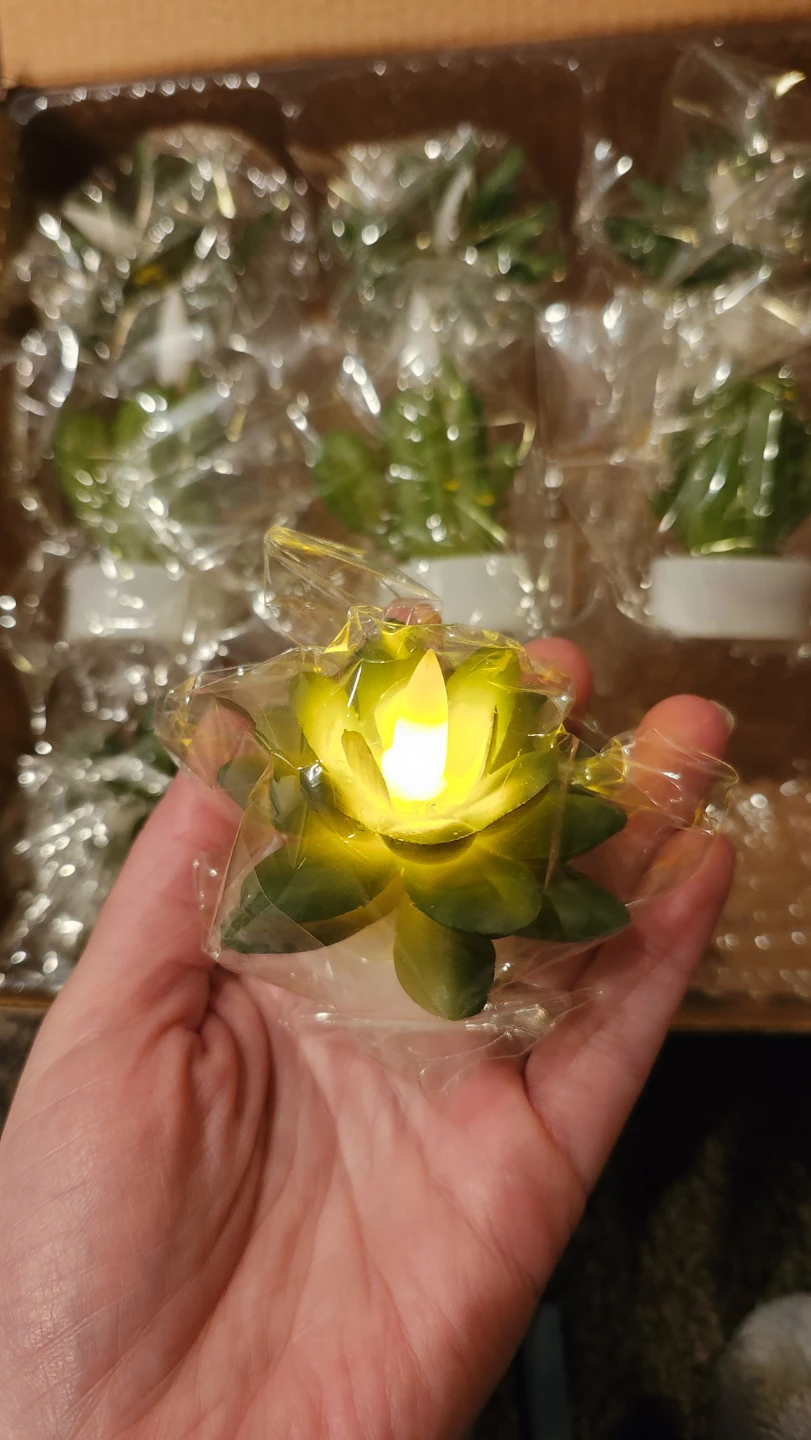 Set of 9 LED Succulent & Cactus Tealight Candles - photo 4