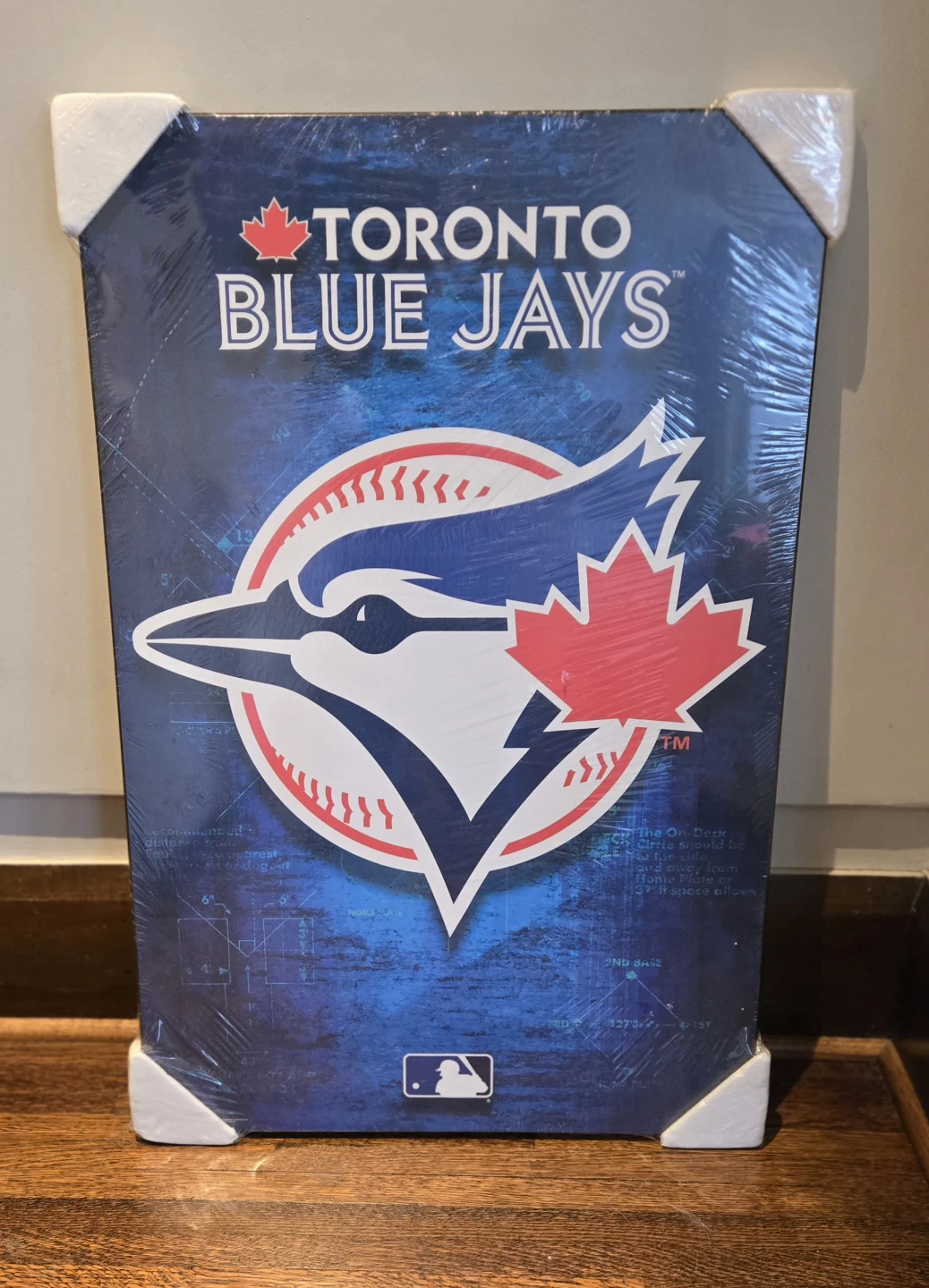 Toronto Blue Jays Canvas Wall Art