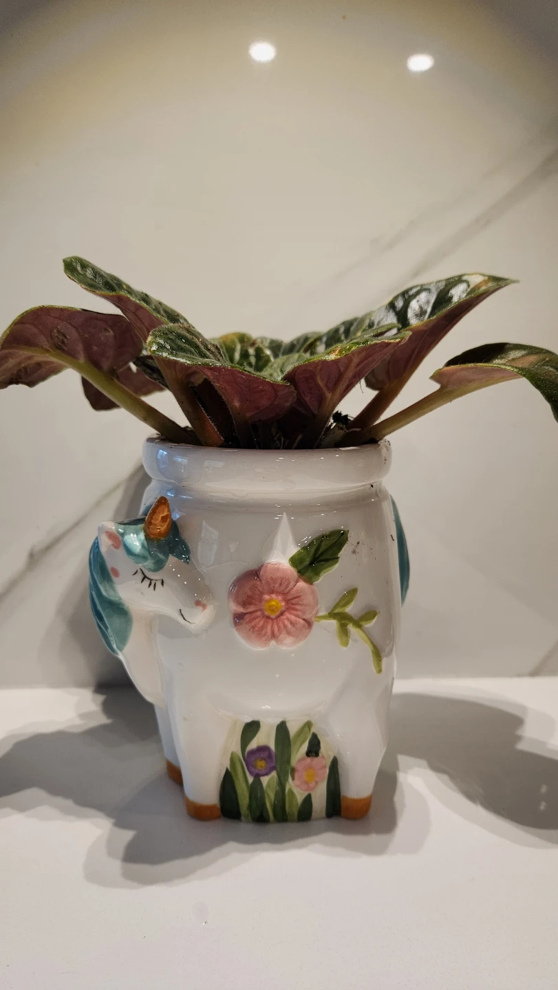 Upcycled Unicorn canister planter with plant